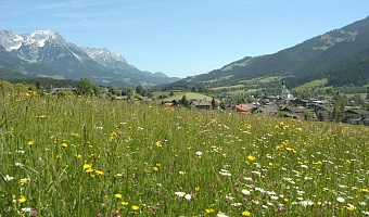 Frühling Soell TVB Wilder Kaiser