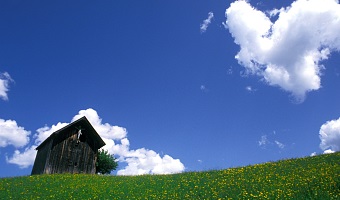 Frühling Tirol Albin Niederstrasser