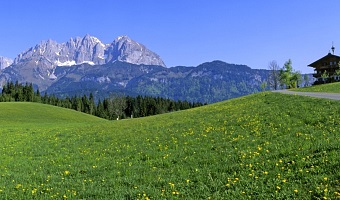 Frühling Tirol Albin Niederstrasser