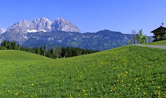 Frühling Tirol Albin Niederstrasser